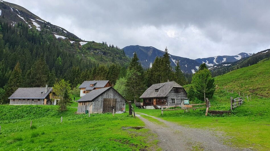 Hiking route Kreuzkogel - Touren-Impression #2.2 | © Martin Muhrer / bergfexmartin.at