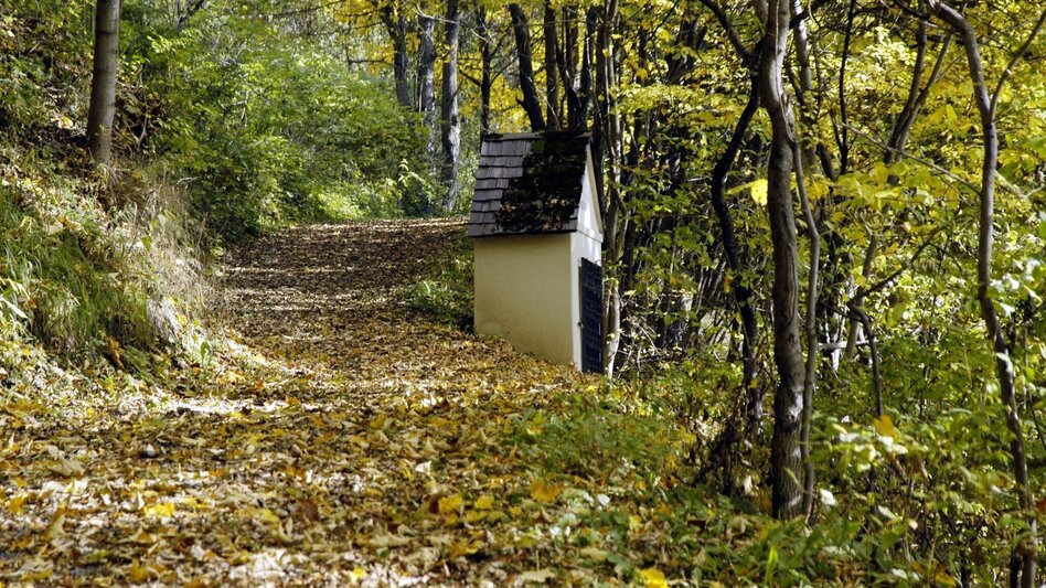 Hiking route Oberzeiring circular route - Touren-Impression #2.1 | © Tourismusverband Pölstal- Gemeinde Oberzeiring