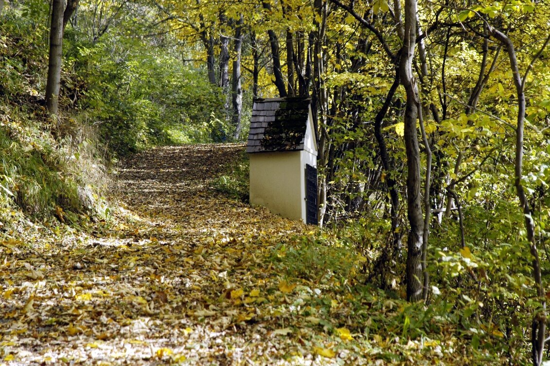 Hiking route Oberzeiring circular route - Touren-Impression #1 | © Tourismusverband Pölstal- Gemeinde Oberzeiring