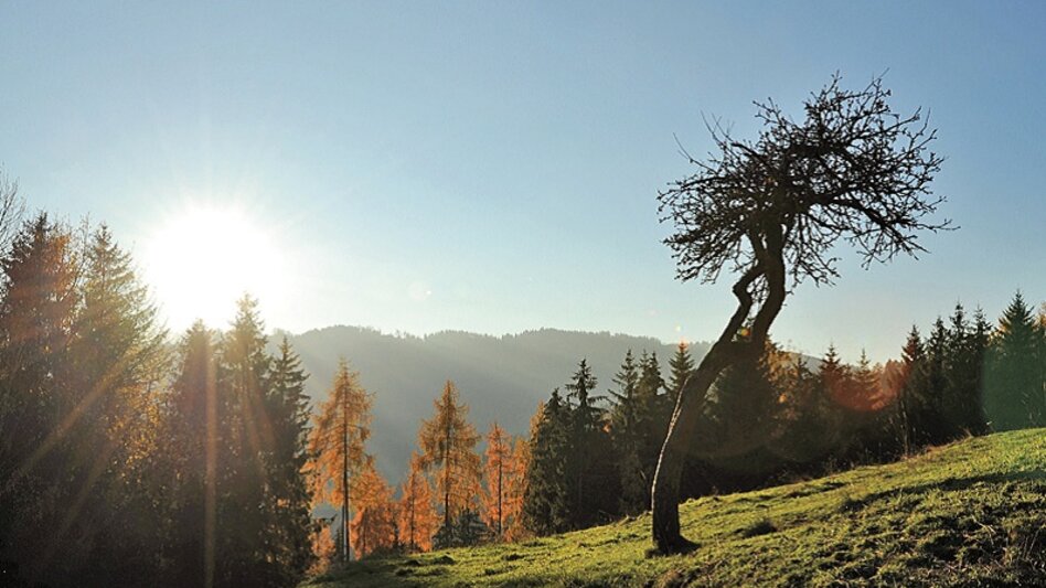 Themen- und Lehrpfad Auf den Spuren Hödlmosers - Touren-Impression #2.3 | © Erlebnisregion Murtal