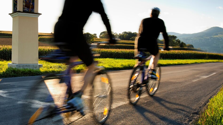 Bike Riding VeloVital Ecotour, Hartberg - Touren-Impression #2.1 | © Oststeiermark Tourismus