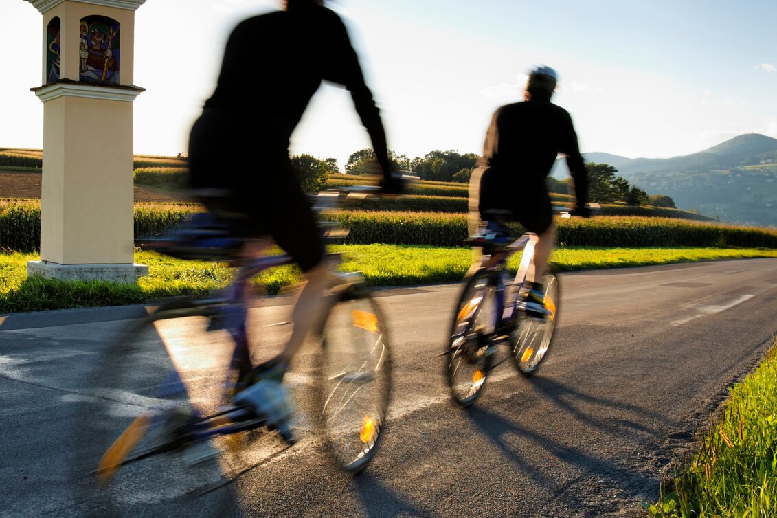 Bike Riding VeloVital Ecotour, Hartberg - Touren-Impression #1 | © Oststeiermark Tourismus