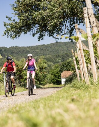 Unterwegs rund um Löffelbach | Velontour | © Oststeiermark Tourismus