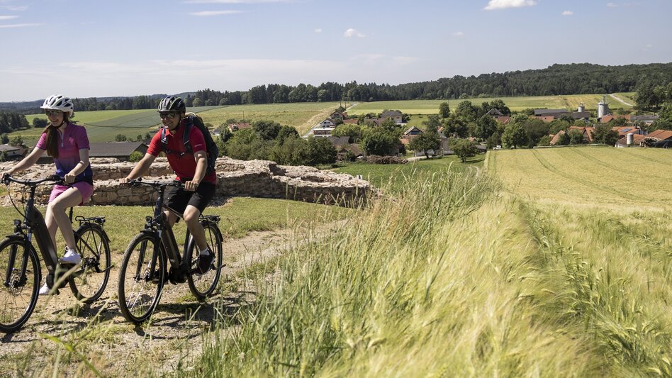 Radfahren VeloVital Schmankerltour, Hartberg - Touren-Impression #2.6 | © Oststeiermark Tourismus