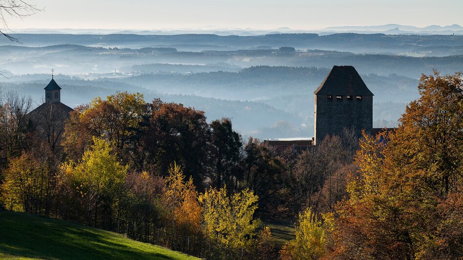 Radfahren VeloVital Schmankerltour, Hartberg - Touren-Impression #2.8 | © Oststeiermark Tourismus