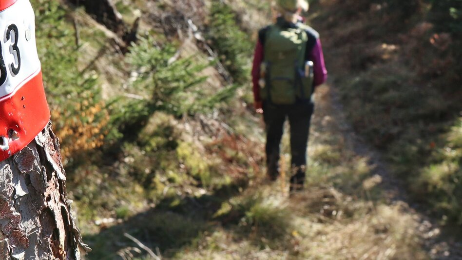 Wanderung Fohnsdorferhütte über Gstättner - Touren-Impression #2.3 | © Weges OG
