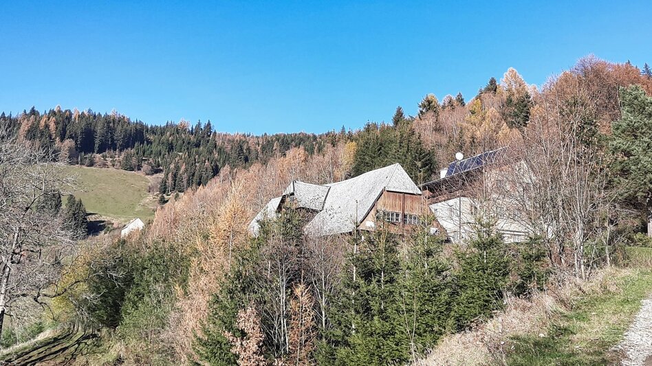 Wanderung Fohnsdorferhütte über Gstättner - Touren-Impression #2.4 | © Weges OG