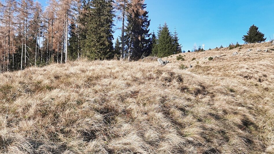 Wanderung Fohnsdorferhütte über Gstättner - Touren-Impression #2.5 | © Weges OG