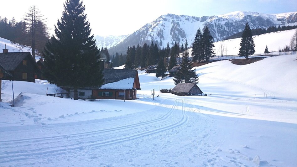 Langlauf klassisch Seebergalm-Loipe - Touren-Impression #2.1 | © TV Hochsteiermark