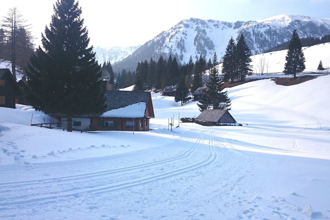 Langlauf klassisch Seebergalm-Loipe - Touren-Impression #1 | © TV Hochsteiermark