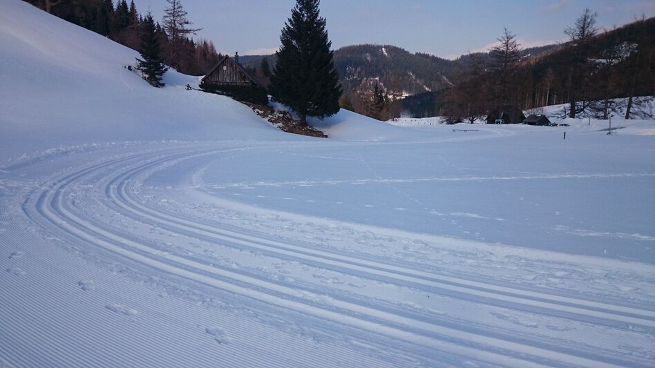 Langlauf klassisch Seebergalm-Loipe - Touren-Impression #2.2 | © TV Hochsteiermark