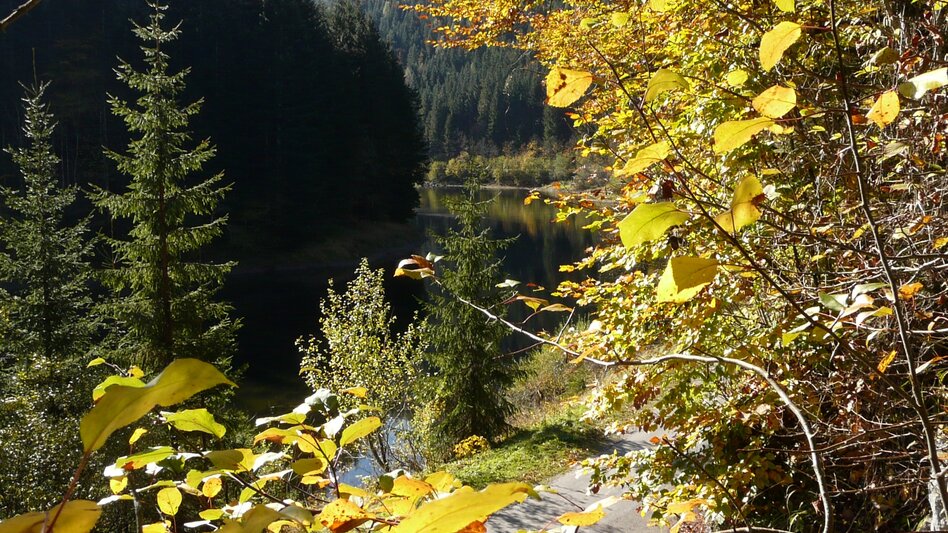 Reiten Reitweg Viehbergalm - Touren-Impression #2.4 | © Ausseerland