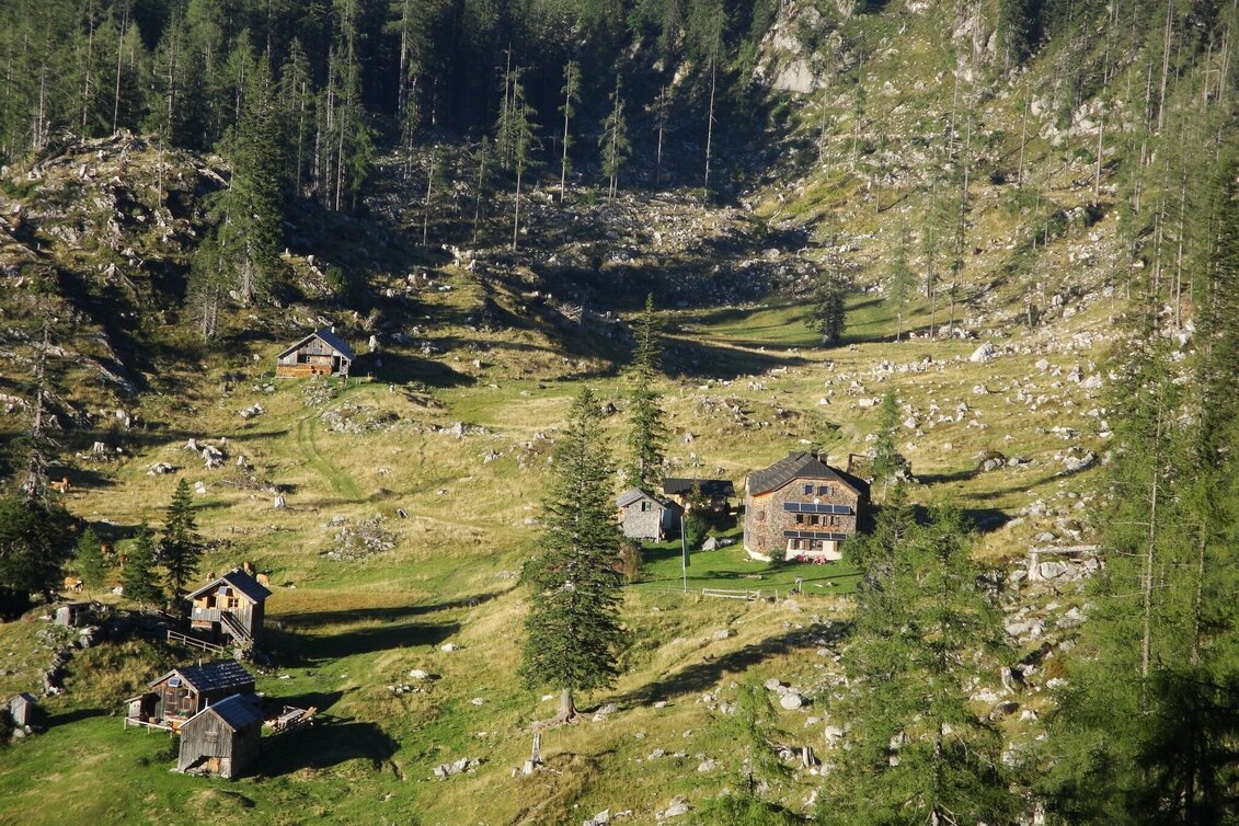 Mountain Hike Mountain tour on the Schönberg - Touren-Impression #1 | © Alpenverein Salzkammergut