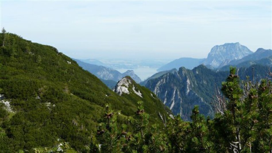 Mountain Hike Mountain tour on the Schönberg - Touren-Impression #2.3 | © Ausseerland