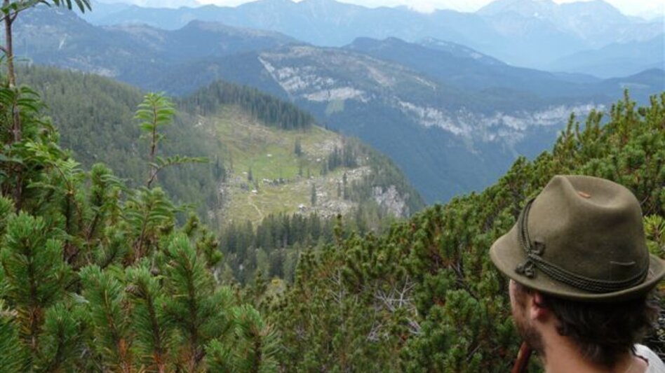 Mountain Hike Mountain tour on the Schönberg - Touren-Impression #2.4 | © Ausseerland