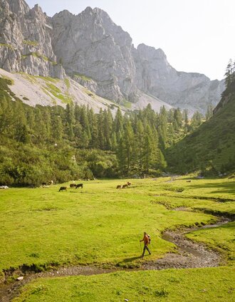 hofpürglhütte - südwandhütte | dachstein rundwanderweg: etappe 02_img_75626271 | Michael Kuschei | © Erlebnisregion Schladming-Dachstein