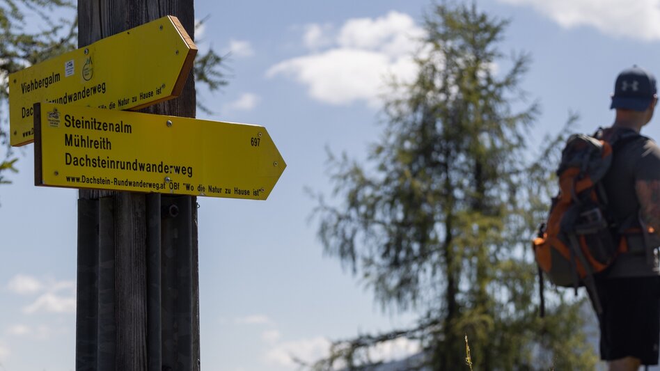 Long-Distance Hiking Guttenberghaus - Stoderzinken | Dachstein Circular Hiking Trail: Stage 04 - Touren-Impression #2.5 | © Erlebnisregion Schladming-Dachstein