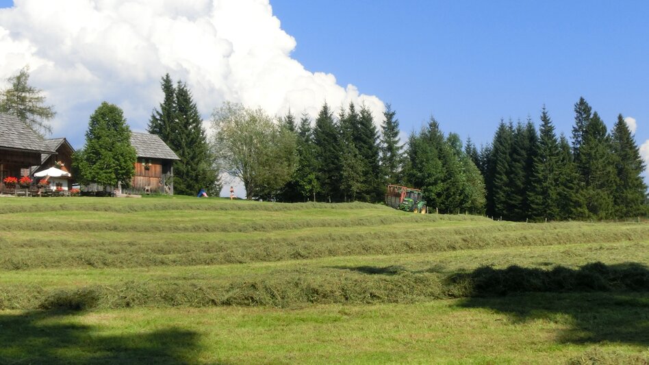 Fernwanderweg Stoderzinken - Bad Mitterndorf| Dachstein Rundwanderweg: Etappe 05 - Touren-Impression #2.9 | © Unbekannt