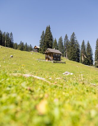 stoderzinken - steinitzenalm | dachstein rundwanderweg: etappe 05_img_75626354 | Michael Kuschei | © Erlebnisregion Schladming-Dachstein