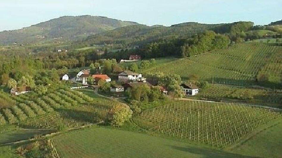 Hiking route Hoferberg round tour - Touren-Impression #2.1 | © Oststeiermark Tourismus