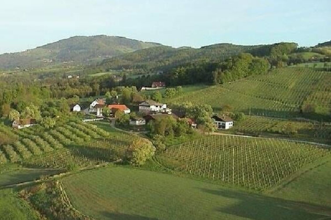 Hiking route Hoferberg round tour - Touren-Impression #1 | © Oststeiermark Tourismus