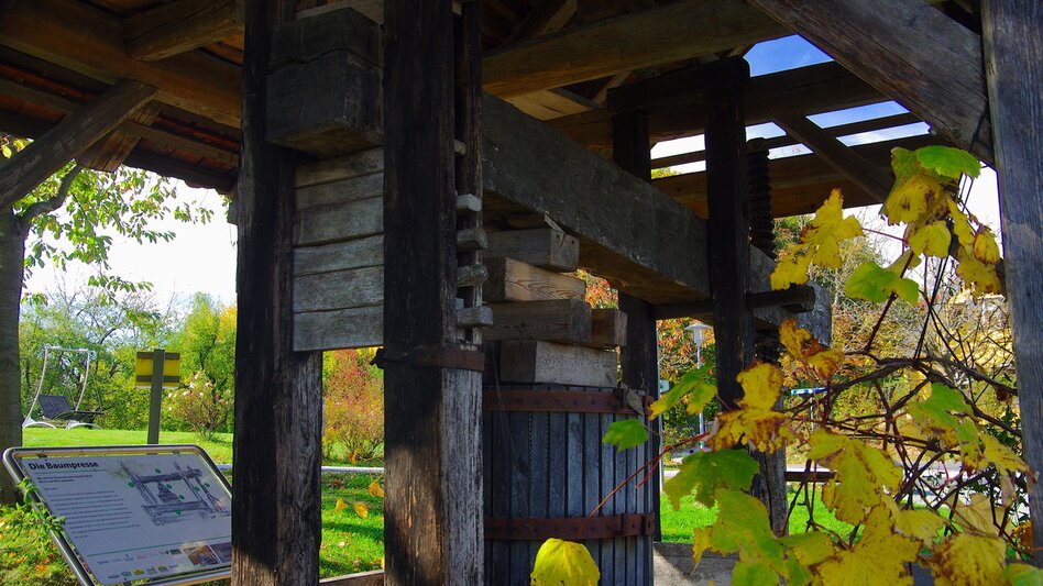 Hiking route Tree circle path (Baumkreisweg) - Touren-Impression #2.5 | © Thermen- & Vulkanland