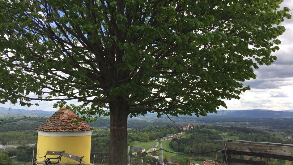 Hiking route Wolfgangiweg (8) - Touren-Impression #2.3 | © TVB Südsteiermark/Katharina Reinisch