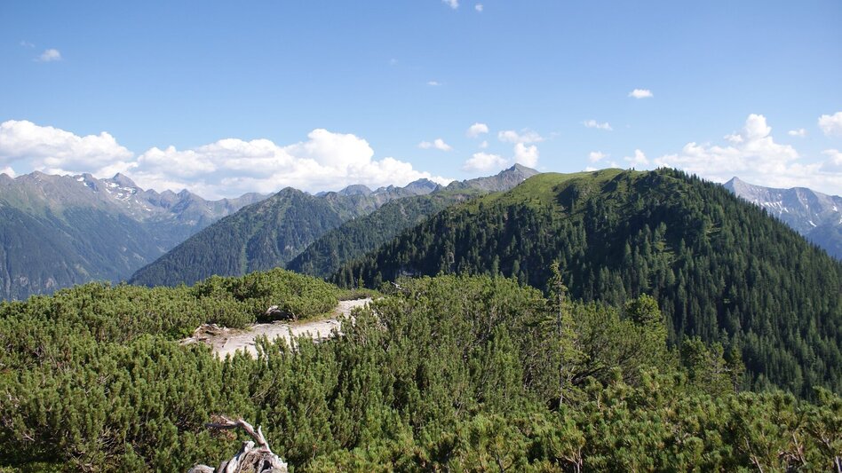 Wanderung Hochwurzen - Rossfeld - Guschen - Touren-Impression #2.4 | © Gerhard Pilz