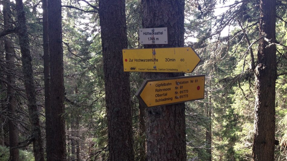 Wanderung Hochwurzen - Rossfeld - Guschen - Touren-Impression #2.5 | © Gerhard Pilz