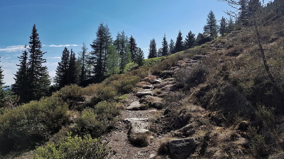 Wanderung Hochwurzen - Rossfeld - Guschen - Touren-Impression #2.11 | © Gerhard Pilz