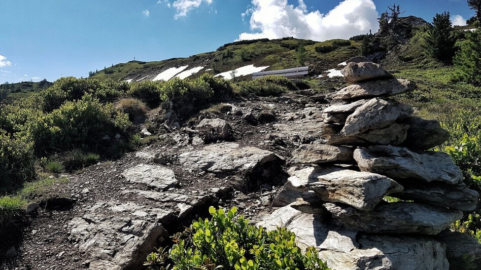 Wanderung Hochwurzen - Rossfeld - Guschen - Touren-Impression #2.12 | © Erlebnisregion Schladming-Dachstein