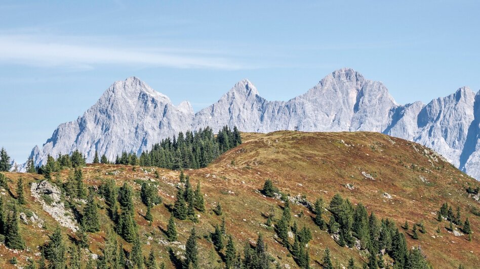 Wanderung Hochwurzen - Rossfeld - Guschen - Touren-Impression #2.15 | © Gerhard Pilz