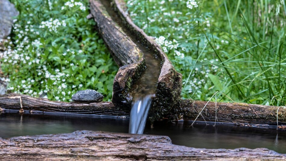 Wanderung Hochwurzen - Rossfeld - Guschen - Touren-Impression #2.18 | © Gerhard Pilz - www.gpic.at