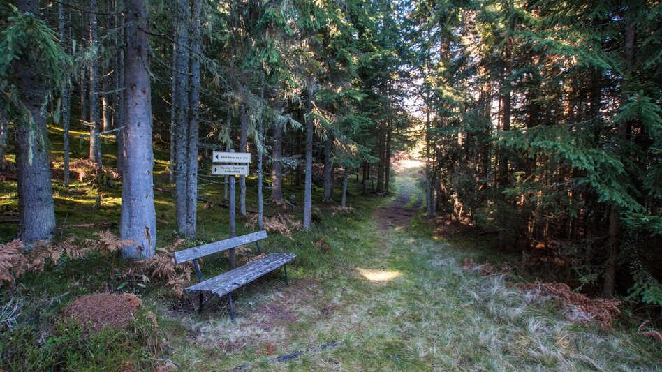 Wanderung Hochwurzen - Rossfeld - Guschen - Touren-Impression #2.23 | © Gerhard Pilz