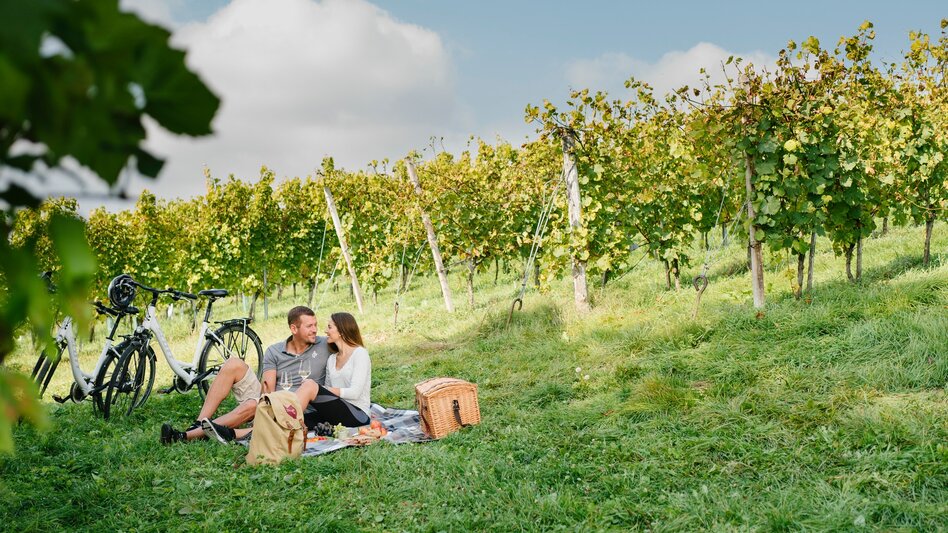 Bike Riding Styrian Wine Country Cycle Trail - Touren-Impression #2.2 | © TV St. Ruprecht an der Raab/Die Mosbacher`s