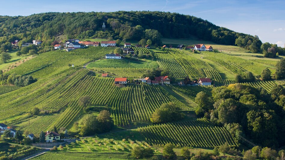 Bike Riding Styrian Wine Country Cycle Trail - Touren-Impression #2.14 | © (c) Steiermark Tourismus/Harry Schiffer