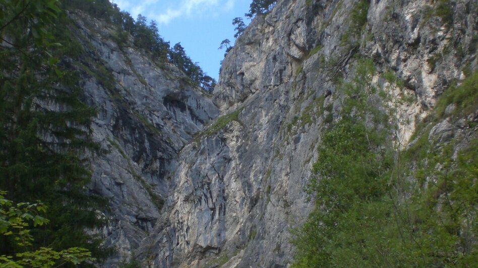 Wanderung Viehbergalm - Miesbodensee - Touren-Impression #2.5 | © Erlebnisregion Schladming-Dachstein