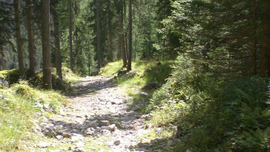 Wanderung Viehbergalm - Miesbodensee - Touren-Impression #2.8 | © Erlebnisregion Schladming-Dachstein
