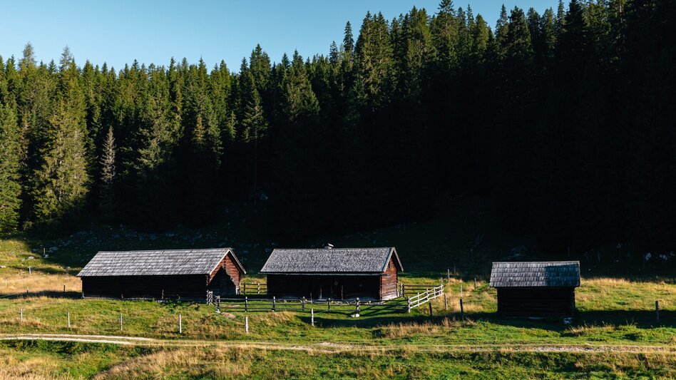 Wanderung Viehbergalm - Miesbodensee - Touren-Impression #2.1