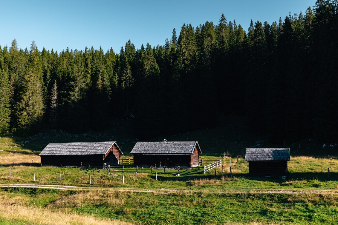 Wanderung Viehbergalm - Miesbodensee - Touren-Impression #1