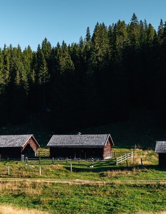 Viehberg_Almhütten  | Mathäus Gartner