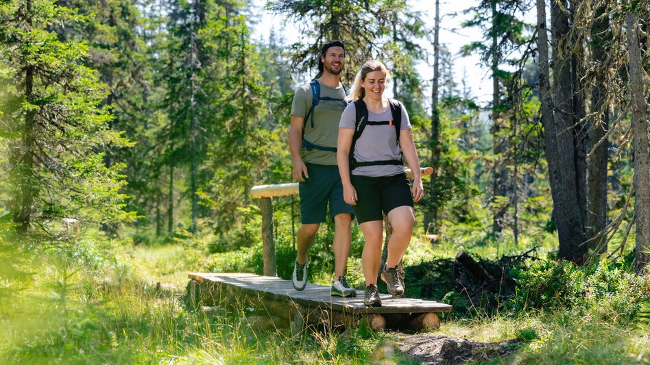 Wanderung Viehbergalm - Miesbodensee - Touren-Impression #2.2