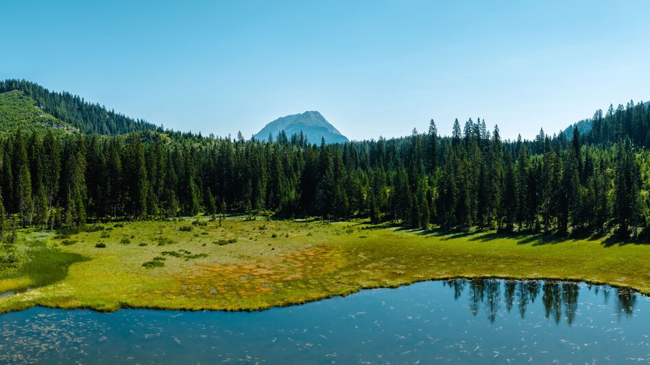 Wanderung Viehbergalm - Miesbodensee - Touren-Impression #2.4