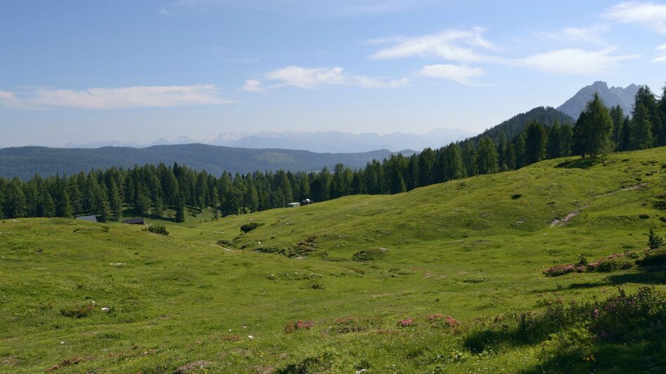 Wanderung Wanderung durch die Notgassen-Schlucht - Touren-Impression #2.1 | © Erlebnisregion Schladming-Dachstein
