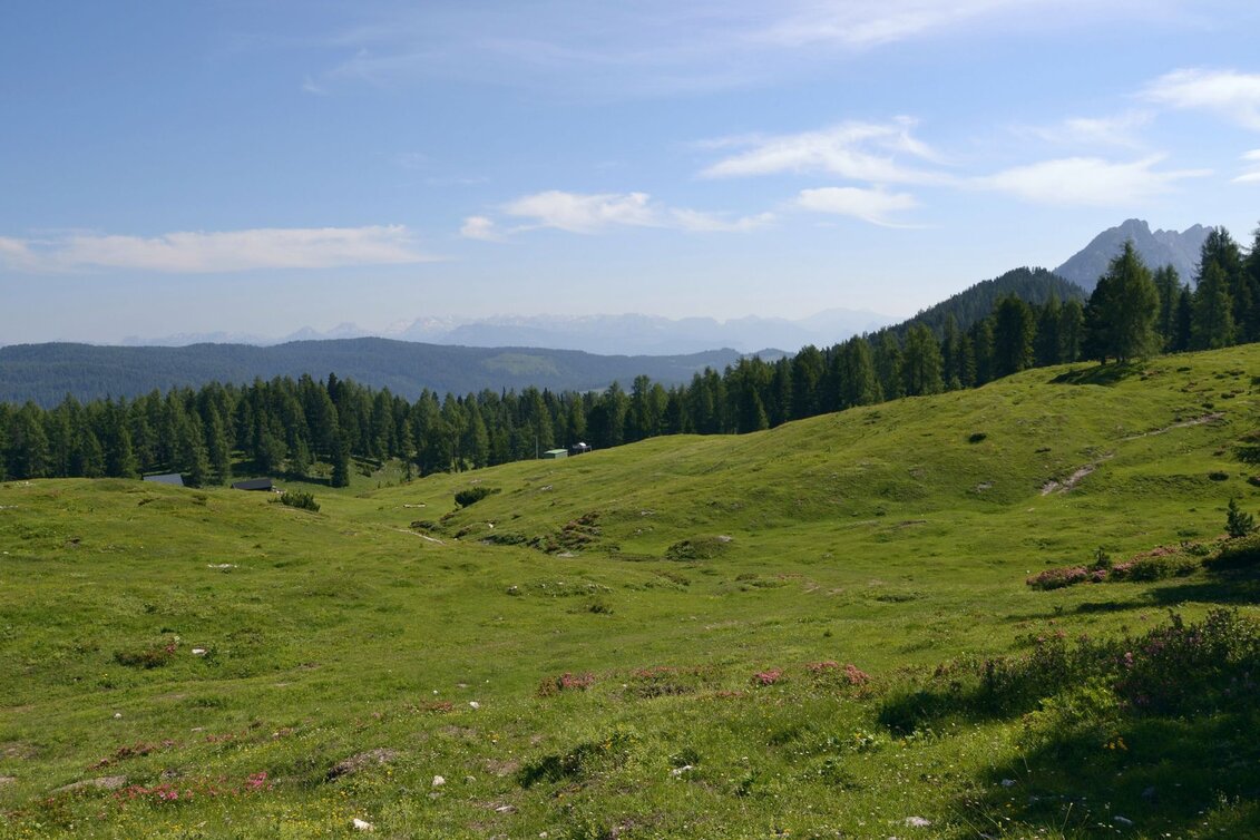 Wanderung Wanderung durch die Notgassen-Schlucht - Touren-Impression #1 | © Erlebnisregion Schladming-Dachstein