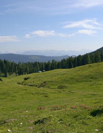 wanderung durch die notgassen-schlucht_img_11217919 | Schladming Dachstein | © Erlebnisregion Schladming-Dachstein