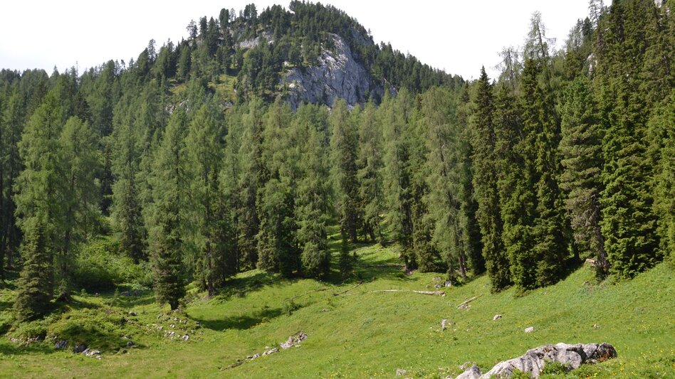Wanderung Wanderung durch die Notgassen-Schlucht - Touren-Impression #2.2 | © Erlebnisregion Schladming-Dachstein