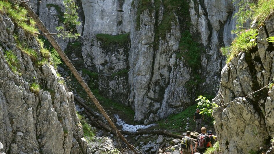 Wanderung Wanderung durch die Notgassen-Schlucht - Touren-Impression #2.4 | © Erlebnisregion Schladming-Dachstein