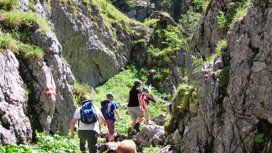Wanderung Wanderung durch die Notgassen-Schlucht - Touren-Impression #2.12 | © Erlebnisregion Schladming-Dachstein