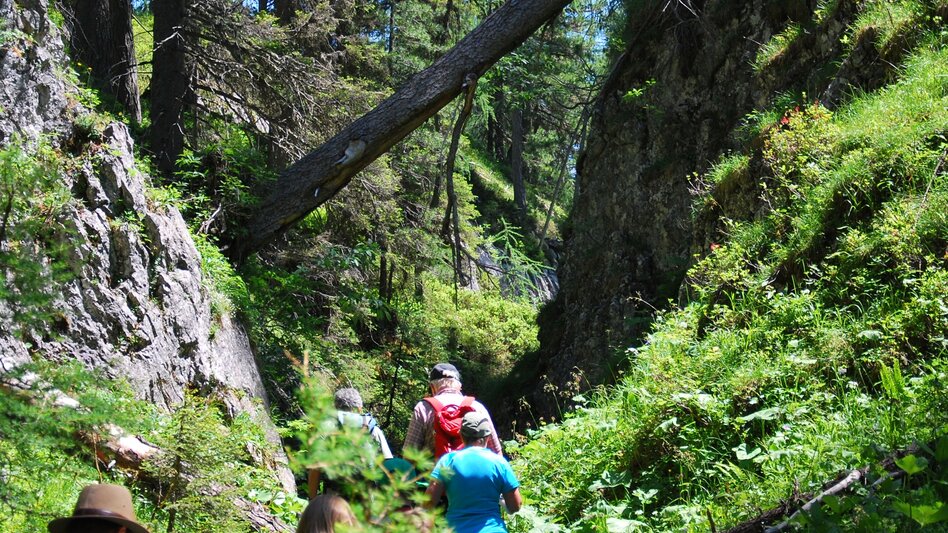 Wanderung Wanderung durch die Notgassen-Schlucht - Touren-Impression #2.14 | © Erlebnisregion Schladming-Dachstein